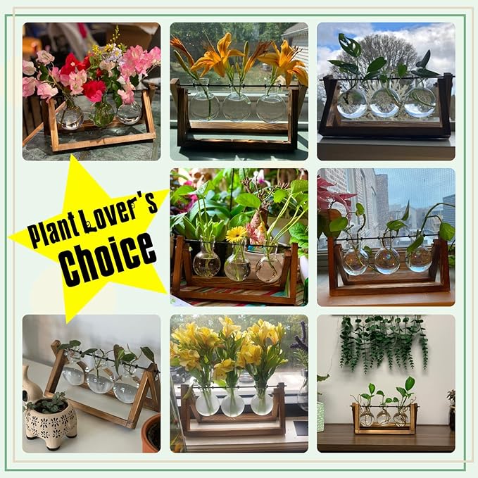 XXXFLOWER Plant Terrarium with Wooden Stand, Air Planter Bulb Glass Vase Metal Swivel Holder Retro Tabletop for Hydroponics Home Garden Office Decoration - 3 Bulb Vase - Cart Shape