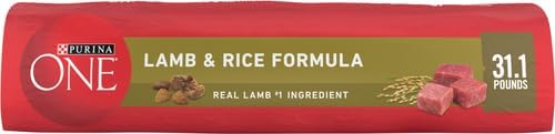 PLrina ONE Dry Dog Food Lamb and Rice Formula - 31.1 lb. Bag