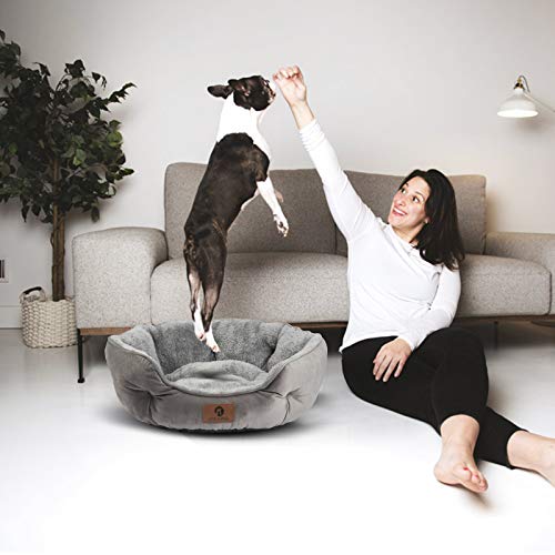 asvin small dog bed, soft and cozy, machine washable, anti-slip oxford bottom, grey, 20 inches