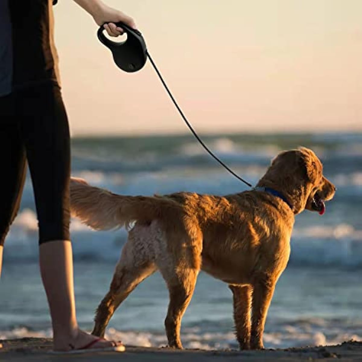 16ft retractable dog leash for small to medium dogs and cats up to 50lbs with stainless steel spring strong nylon tape and one-handed brake