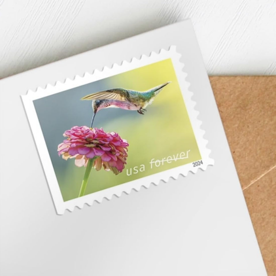 United States Postal Service Garden Delights (Booklet of 20) First-Class Mail Forever Postage Stamps Scott #5845-5848