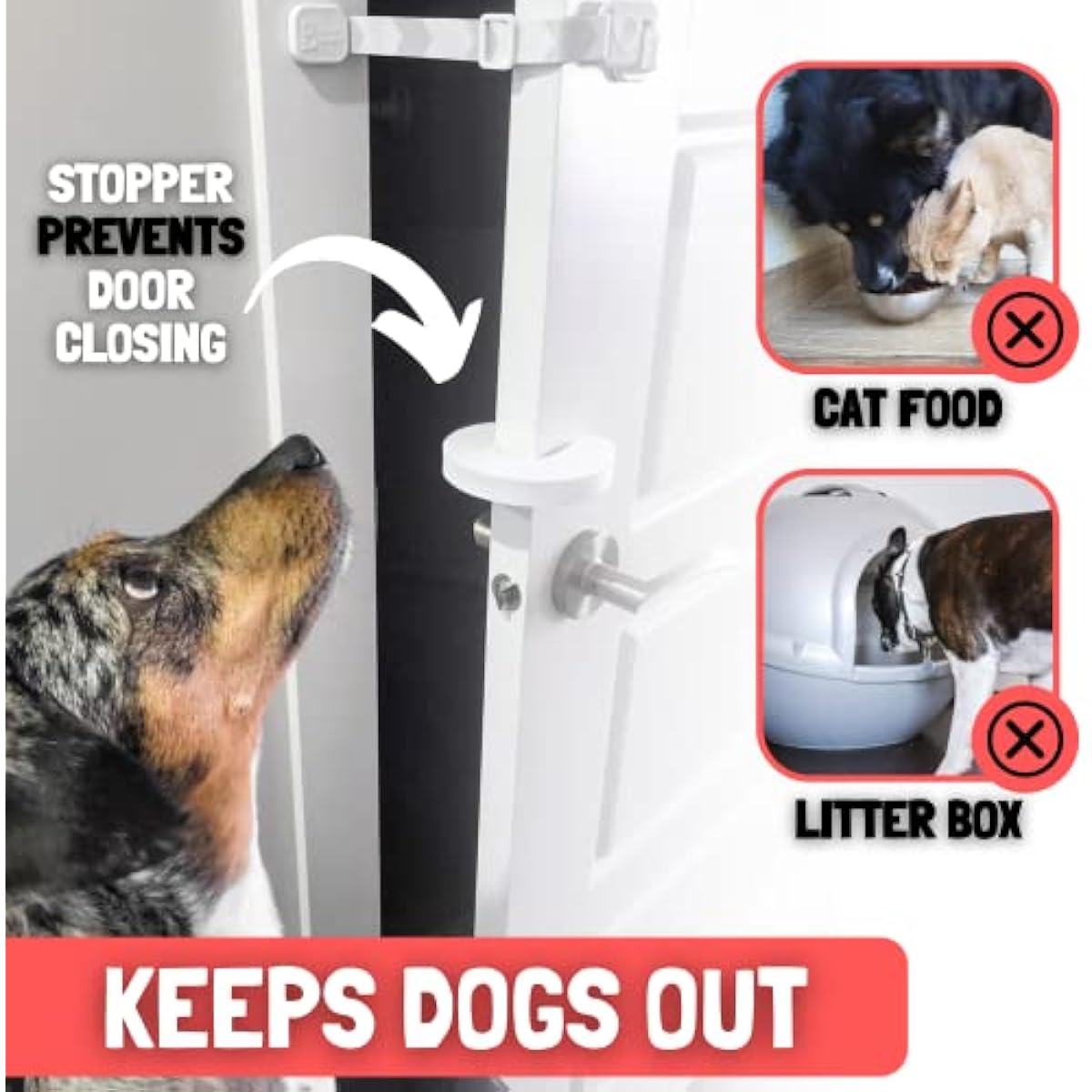 Door Buddy Cat Door Latch & Stopper. Adjustable Dog Proof Door Strap for Cats. Dog Proof Litter Box & Cat Feeder. Simpler Pet Gate Alternative. No Cut Cat Door Interior Door.