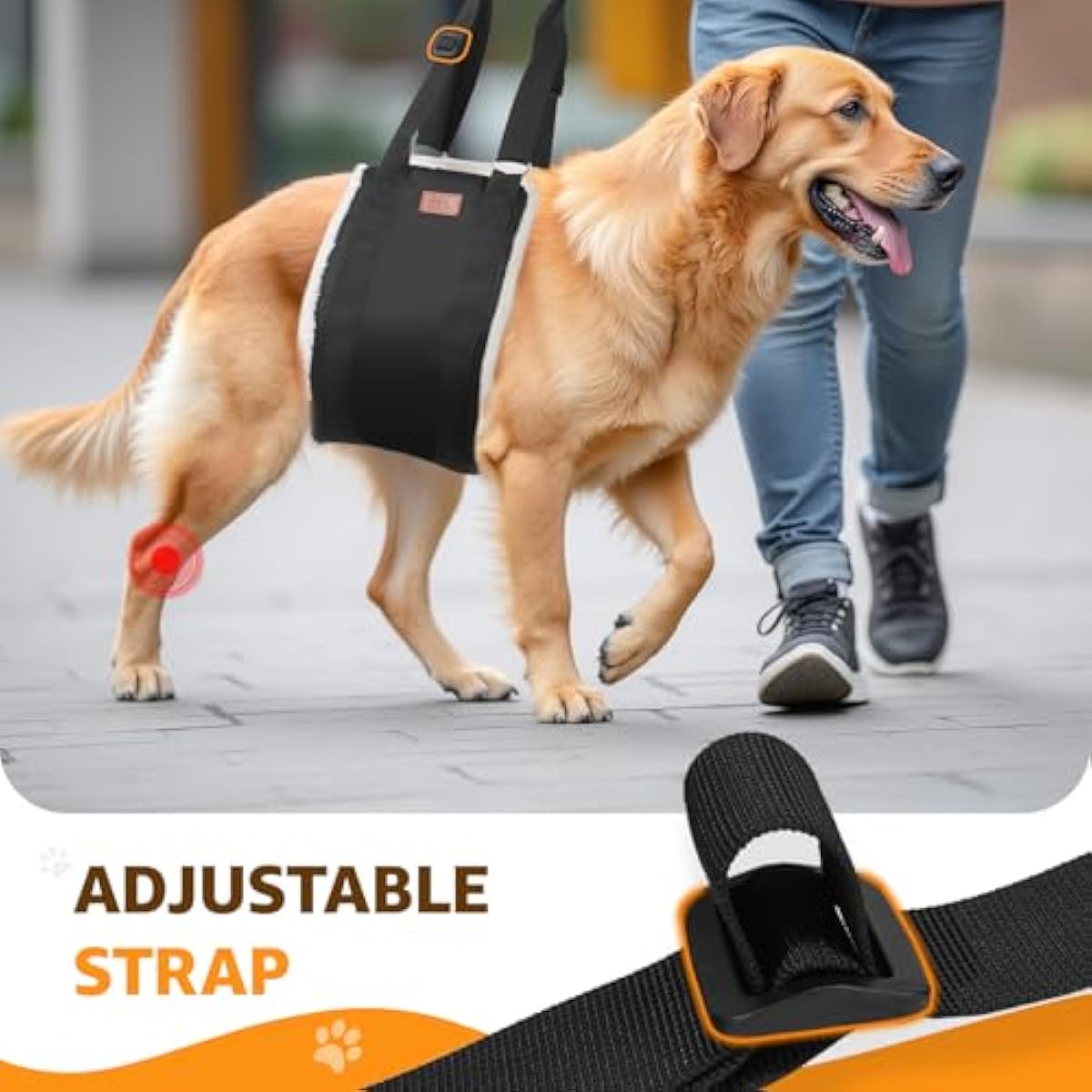 Adjustable dog lift harness for large dogs hind leg support with soft lift and rehab features