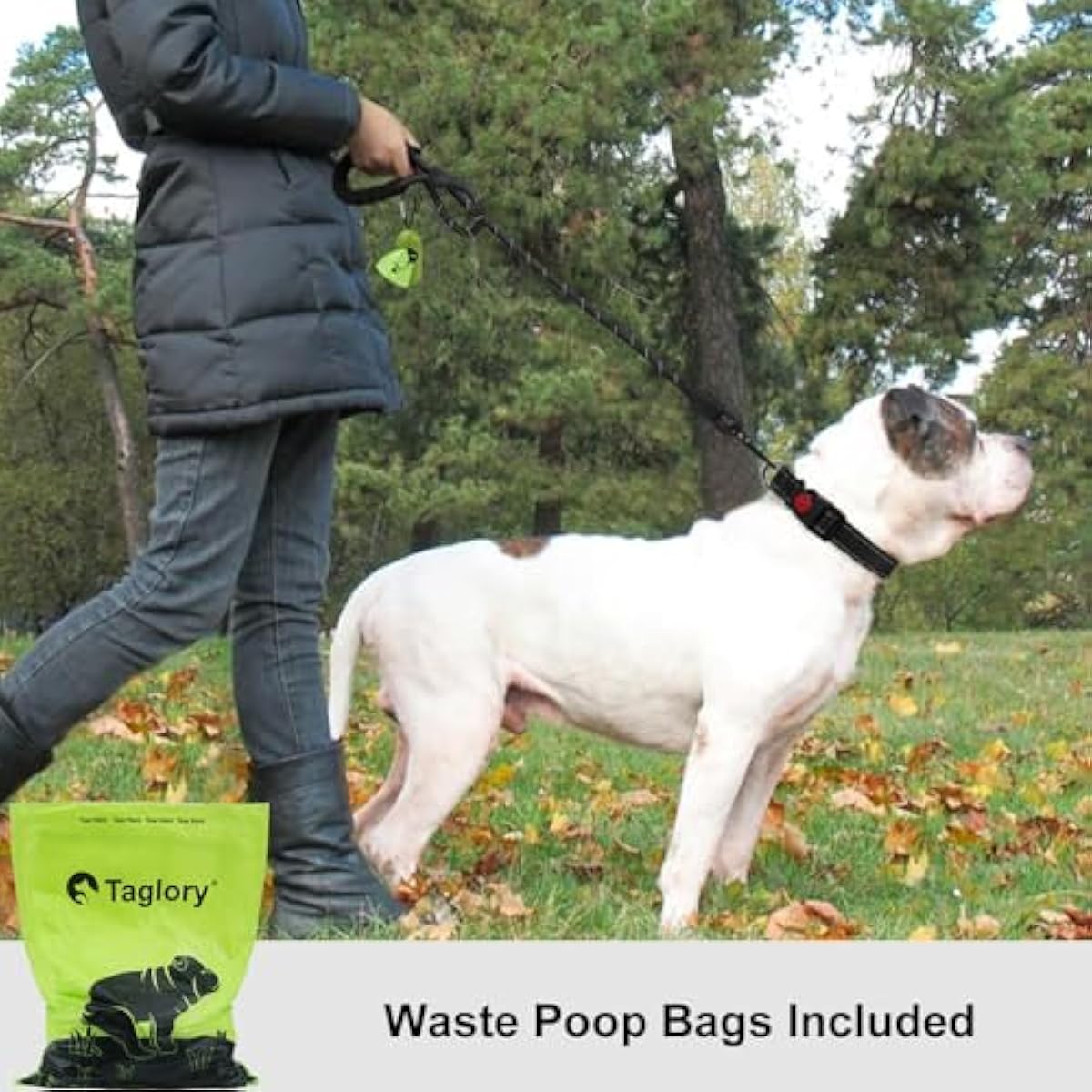 Taglory 6 FT Rope Dog Leash for Medium Large Dogs with Padded Handle, Reflective Threads, 1/2 inch, Black