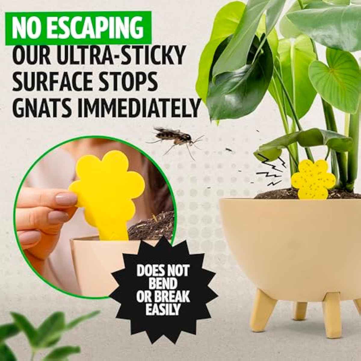 Super Ninja Fungus Gnat Traps - 30 Pack, Highly Effective Gnat Traps for House Indoor, Yellow Sticky Trap for Plants, Non-Toxic & Nature-Friendly, Up to 3 Months