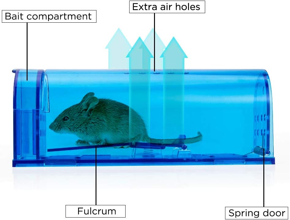 Blinc [2-Pack] Humane Mouse Trap - Catch and Release No-Kill Rodent Traps for Indoors & Outdoors - Safe for Children & Pets - Reusable Mouse Catcher for Kitchen, Pantry & Garage (Transparent Blue)
