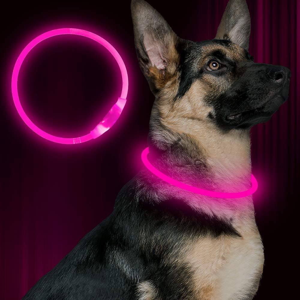 BSEEN USB Rechargeable Flash Dog Necklace Light, Green, Small Medium Large Dogs