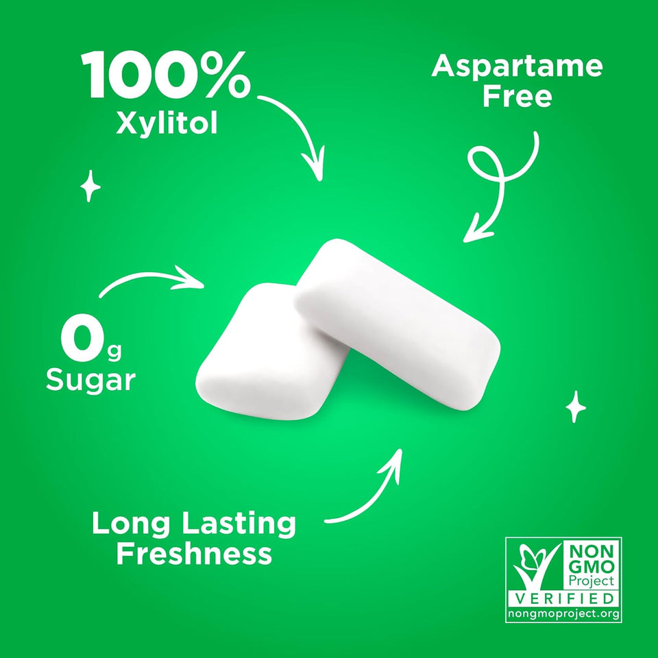PLR Gum | Aspartame Free Chewing Gum | 100% Xylitol | Natural Spearmint Flavored Gum, 55 Pieces (Pack of 1)