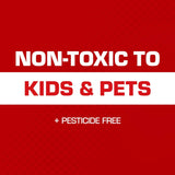 Tomcat Glue Traps Mouse Size with Eugenol for Enhanced Stickiness - Sticky Pads For Mice, Cockroaches, and Spiders, 6 Traps