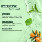 Botanic Hearth Tea Tree Body Wash 16 fl oz (2 Pack) Natural Antifungal & Odor Control Shower Gel for Acne, Athlete’s Foot, Ringworm, Jock Itch, Healthy Skin, Sulfate & Paraben Free, for Men & Women