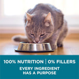 PLrina ONE Natural Dry Cat Food, Tender Selects Blend With Real Salmon - 7 lb. Bag