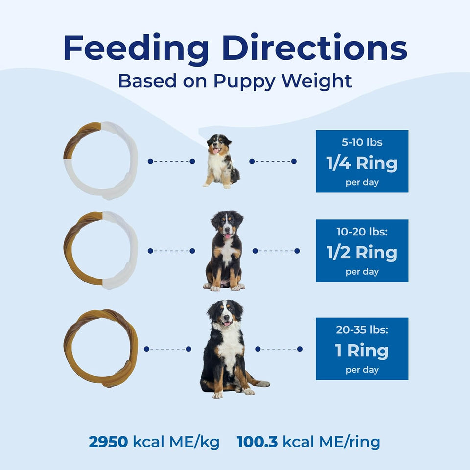 N-Bone PLppy Teething Ring Chicken Flavor (1 Pack Of 6 Rings) (113048)