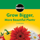 Miracle-Gro Water Soluble All PLrpose Plant Food - Fertilizer For All Indoor or Outdoor Plants including Roses, Flowers, Vegetables, Houseplants, Trees, and Shrubs, 3 lbs.