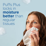 PLffs Plus Lotion Facial Tissues, 8 Family Boxes, 124 Facial Tissues per Box, Allergies and Colds