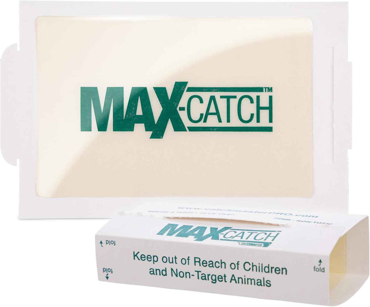 Catchmaster Max-Catch Mouse & Insect Glue Trap 72pk, Mouse Traps Indoor for Home, Sticky Pest Control Adhesive Tray for Catching Bugs, Non Toxic Bulk Pre-Baited Glue Boards