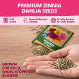 HOME GROWN Zinnia Dahlia Seeds Pack for 2026 Non GMO 524 Flower Seeds | Vibrant Zinnia Elegans for Pollinator Gardens, Borders & Containers | Easy-to-Grow Outdoor Blooms