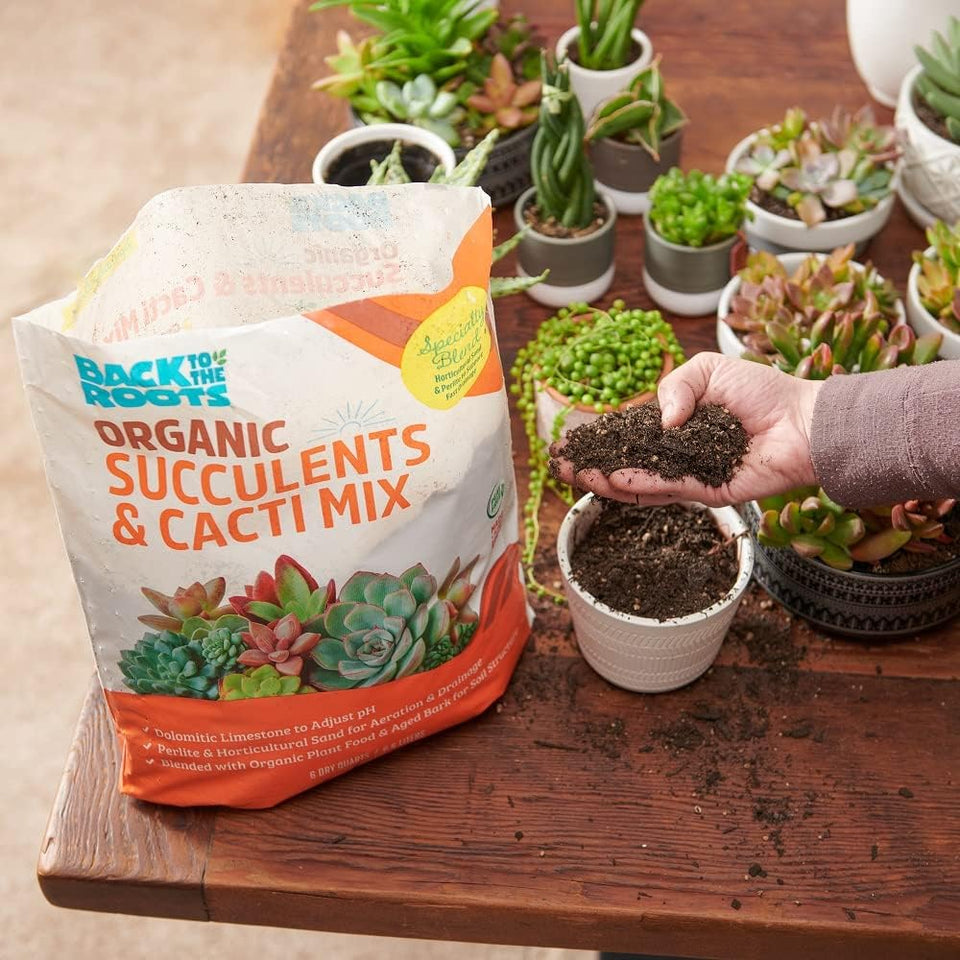 Back to the Roots 100% Organic Succulent & Cacti Mix (6 Quart) | Made in the USA | Premium Nutrition for Indoor and Outdoor Plants
