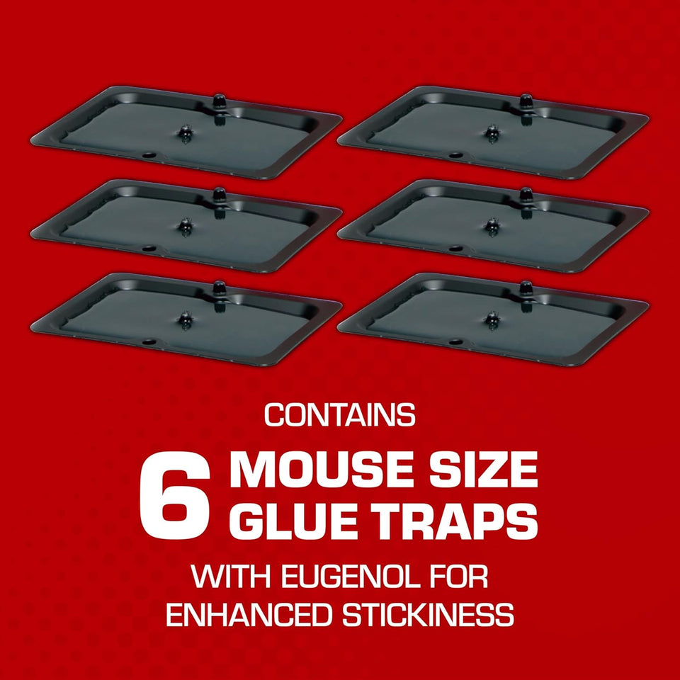 Tomcat Glue Traps Mouse Size with Eugenol for Enhanced Stickiness - Sticky Pads For Mice, Cockroaches, and Spiders, 6 Traps