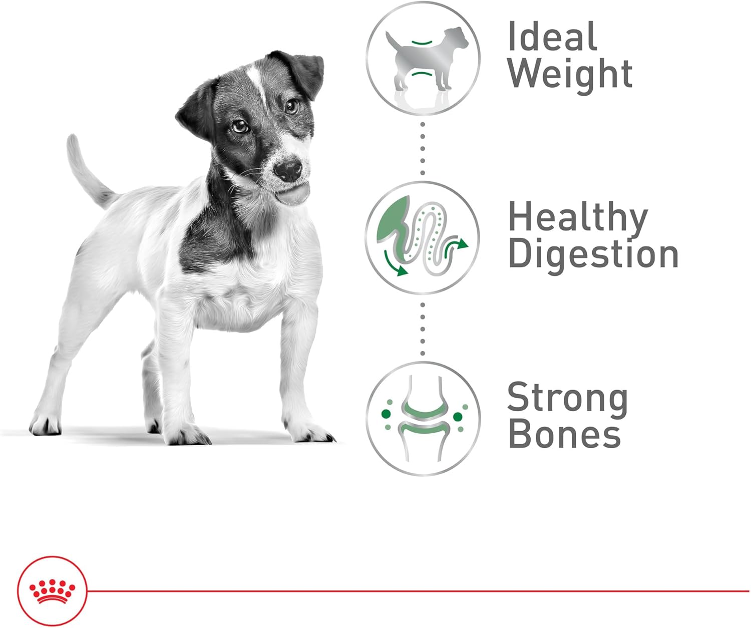royal canin small adult dry dog food, 14 lb bag for small breed dogs aged 10 months to 8 years
