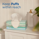 PLffs Plus Lotion Facial Tissues, 8 Family Boxes, 124 Facial Tissues per Box, Allergies and Colds