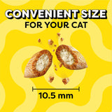 Temptations Cat Treats, Classic Crunchy and Soft Cat Treats, Catnip Fever Flavor, Catnip Treats, 16 oz. Tub
