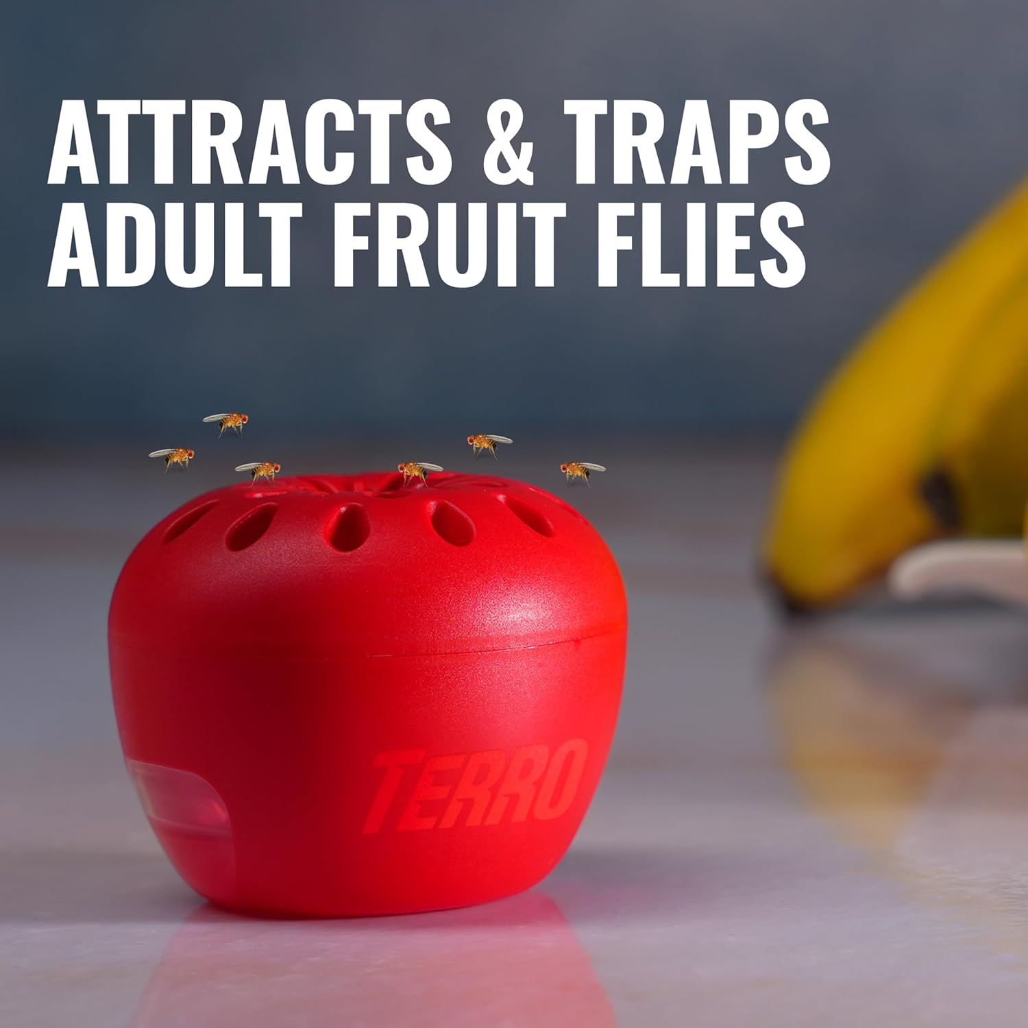 TERRO Fruit Fly Traps for Indoors (4 Pack) + 180 Days of Lure Supply - T2503SR - Lure and Kill Indoor Fruit Flies Near Fruit, Trash Cans, Countertops - Ready to Use Trap - 180 Day Supply