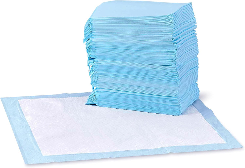 Amazon Basics Leak-Proof Dog and PLppy Potty Training Pee Pads with Quick-Dry 5-Layer Super Absorbent Design, Regular Size 22 x 22 inch, Blue & White, 100 Count