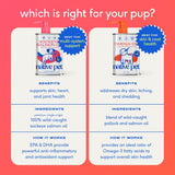 Native Pet Omega 3 Fish Oil for Dogs & Cats – Wild Alaskan Salmon Oil for Dogs Skin and Coat, Supports Joints, Heart & Shedding – Fast-Absorbing Omega 3 6 9 Liquid Supplement – 8oz