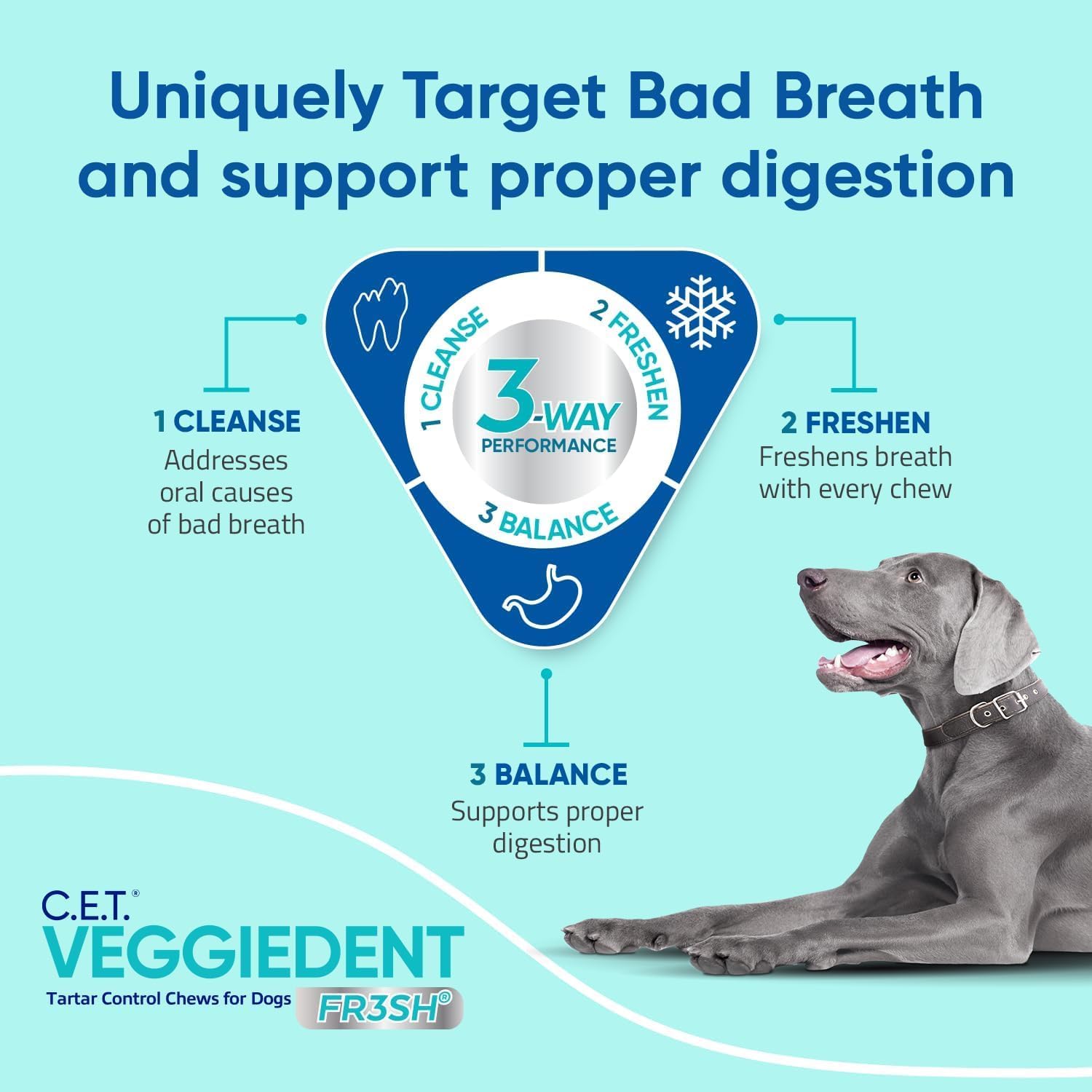 Virbac C.E.T. VEGGIEDENT FR3SH Tartar Control Chews for Medium Dogs, Beef, 1.6 Pounds