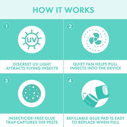 STEM Flying Insect Fan Trap for Indoor Bug Control, Attracts Mosquitoes, Fruit Flies, and House Flies, Plug-in Fan with UV Light, Starter Kit Includes 1 Device and 5 Glue Traps