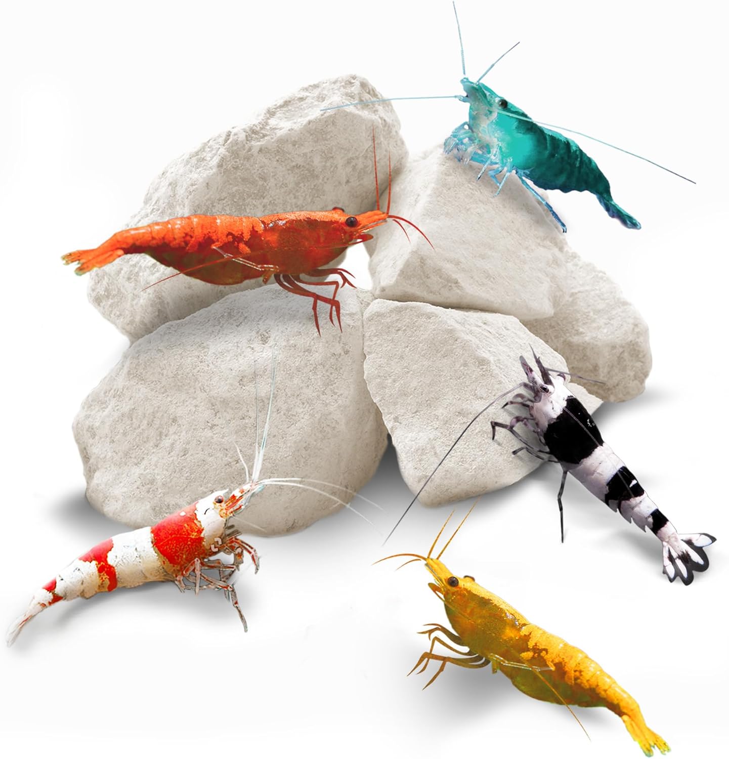 SunsGrow shrimp rocks for crayfish, hermit crab, snails, aquarium decor, crustacean care, nano tank accessories, fish tank supplies