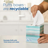 PLffs Plus Lotion Facial Tissues, 8 Family Boxes, 124 Facial Tissues per Box, Allergies and Colds