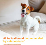Douxo S3 Pyo Pads, Contains 3% Chlorhexidine & 0.5% Ophytrium, Antiseptic & Hydrating, For Bacterial or Yeast Skin Infections, For Dogs and Cats, 30 Pads