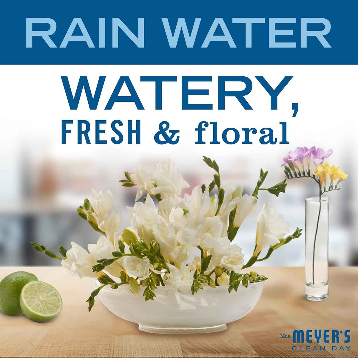 MRS. MEYER'S CLEAN DAY Multi-Surface Everyday Cleaner, Rain Water Scent, 16 Ounce Bottle