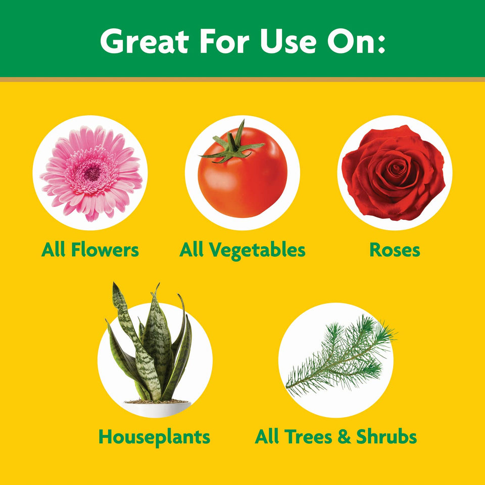 Miracle-Gro Water Soluble All PLrpose Plant Food - Fertilizer For All Indoor or Outdoor Plants including Roses, Flowers, Vegetables, Houseplants, Trees, and Shrubs, 3 lbs.