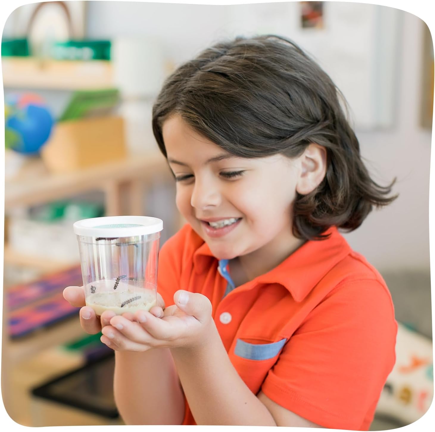Insect Lore Two Cups of Caterpillars - Butterfly Garden Kit Refill – Raise and Release Painted Lady Butterflies – Includes Two Chrys-A-Lid Holding Logs and Instructions