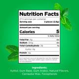 PLR Gum | Aspartame Free Chewing Gum | 100% Xylitol | Natural Spearmint Flavored Gum, 55 Pieces (Pack of 1)