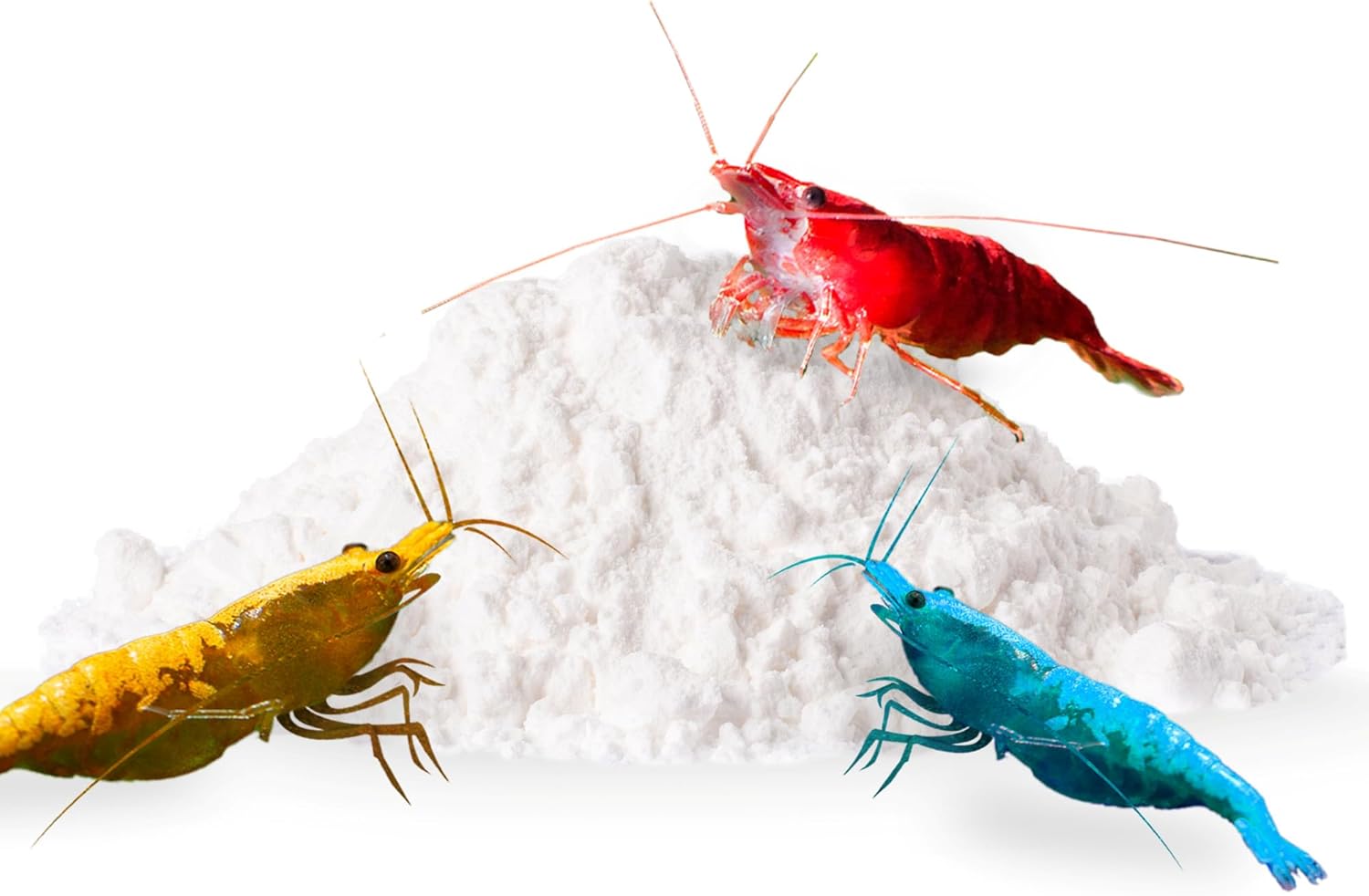 SunsGrow shrimp rocks for crayfish, hermit crab, snails, aquarium decor, crustacean care, nano tank accessories, fish tank supplies