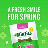 Minties Dog Dental Bone Treats, Tiny/Small Dental Dog Treats, 16 Ounces, Cleans Teeth, Fight Bad Breath, Removes Plaque and Tartar, 40 Count