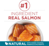 PLrina ONE Natural Dry Cat Food, Tender Selects Blend With Real Salmon - 7 lb. Bag
