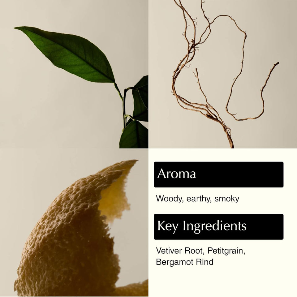 Aesop Reverence Aromatique Exfoliating Hand Wash | Exfoliating Hand Soap with Finely Milled PLmice | Gentle Cleansing & Skin-Smoothing Formula with Vetiver, Petitgrain & Bergamot | 500mL / 16.9 oz