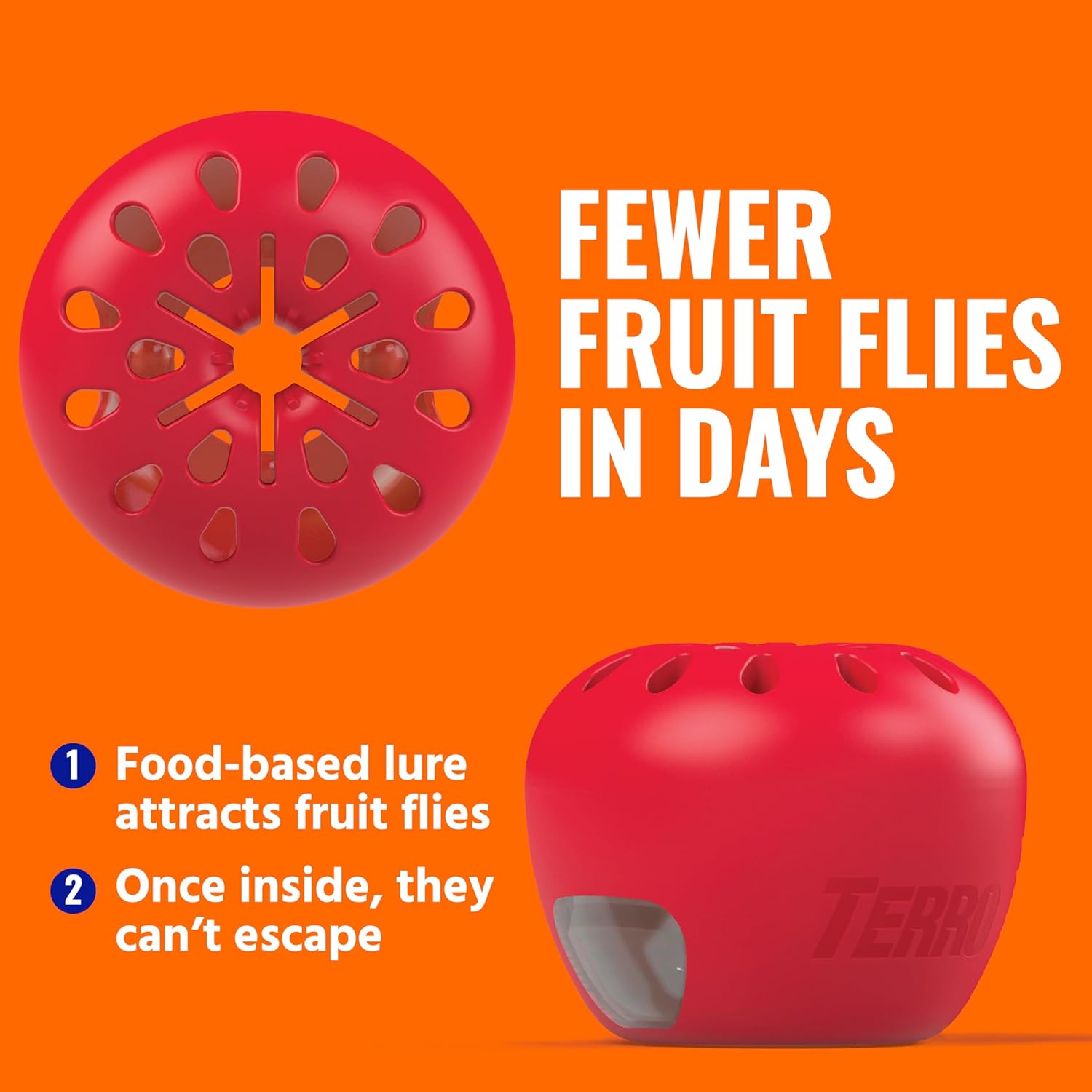 TERRO Fruit Fly Traps for Indoors (4 Pack) + 180 Days of Lure Supply - T2503SR - Lure and Kill Indoor Fruit Flies Near Fruit, Trash Cans, Countertops - Ready to Use Trap - 180 Day Supply