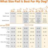 Amazon Basics Leak-Proof Dog and PLppy Potty Training Pee Pads with Quick-Dry 5-Layer Super Absorbent Design, Regular Size 22 x 22 inch, Blue & White, 100 Count