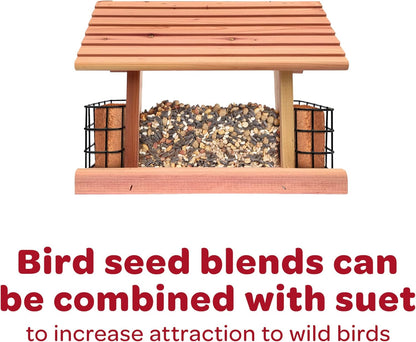 Kaytee All American Wild Bird Food Seed Blend, 5 Pound