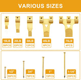 KURUI 303Pcs Picture Hanging Kit, Picture Hangers Assorted Kit with Heavy Duty Picture Hanging Hooks/Hardware Nails/Sawtooth/Wire/D Rings/Level, Metal Picture Wall Hooks for Frame Canvas Mounting