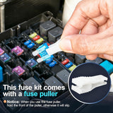 JOREST 300Pcs Car Fuse Assortment Kit, 160 Mini Blade Fuses Automotive + 90 Standard Auto Fuses + 50 Micro + PLller – Replacement for RV Camper Boat Truck (2Amp 3A 5A 7.5A 10A 15A 20A 25A 30A 35A 40A)