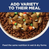 Hill's Science Diet Adult Sensitive Stomach & Skin Dry Dog Food, Chicken, 30 lb. Bag