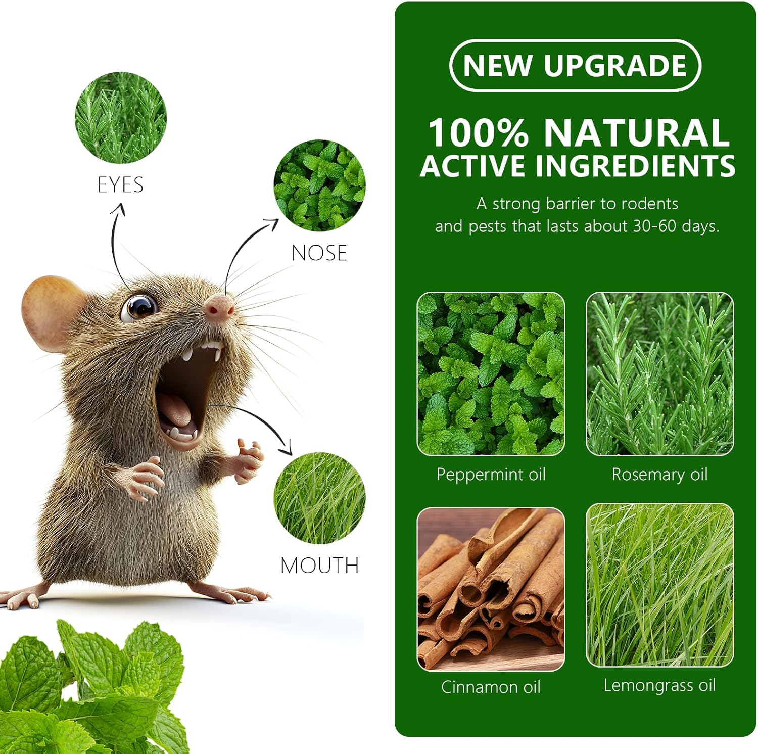 Mouse Rodent Repellent, 24 Pack Peppermint Lemon Oil Mice Repellent for Squirrel Rats Spider Pests, Natural Deterrent for Kitchen, Warehouse, Car, Indoor, Outdoor, Safe for Pets & Family