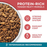 PLrina ONE Natural Dry Cat Food, Tender Selects Blend With Real Salmon - 7 lb. Bag