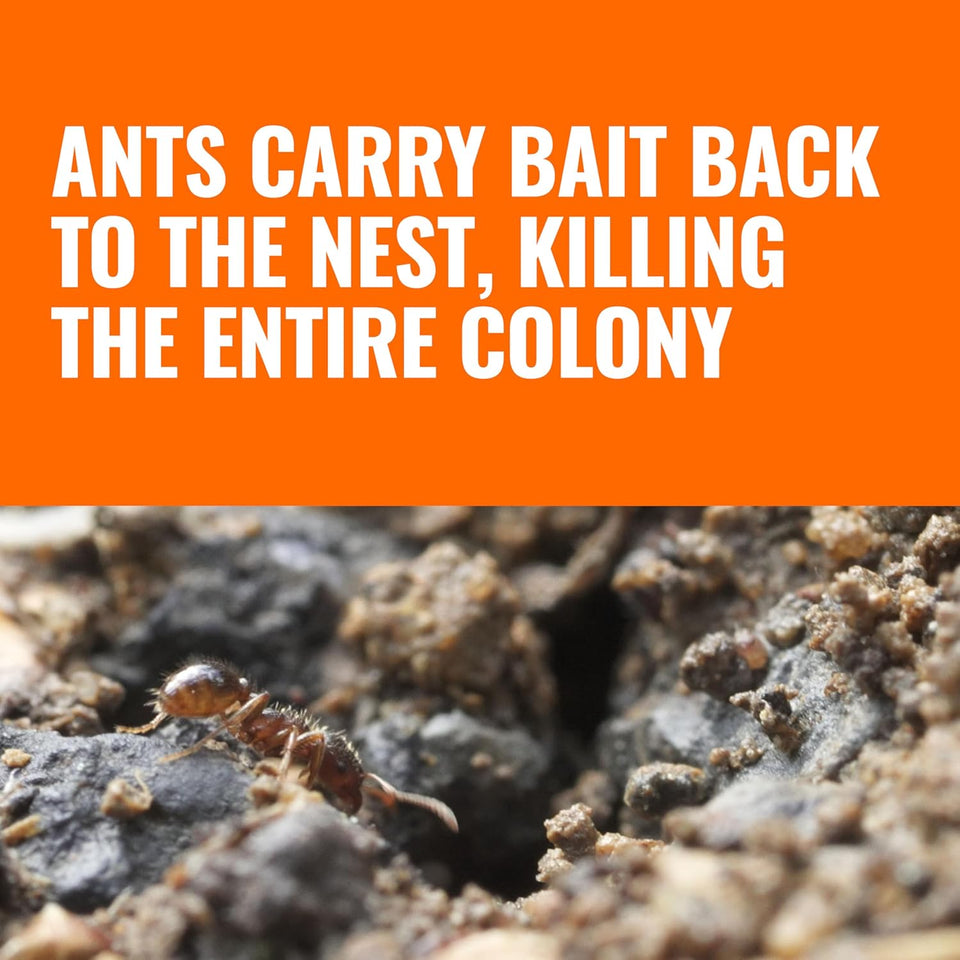 TERRO Liquid Ant Baits - T1813B - Outdoor Ready-to-Use Terro Ant Traps, Kills Household Ants, 12 Stakes